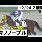 《2023年 新馬》幸騎手「素直で乗りやすい。まだ成長する」ワキノノーブルが直線抜け出し快勝! 12月24日(日)阪神ダート1400m 実況:石田一洋【カンテレ公式】