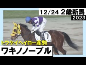 《2023年 新馬》幸騎手「素直で乗りやすい。まだ成長する」ワキノノーブルが直線抜け出し快勝！　12月24日(日)阪神ダート1400ｍ　実況：石田一洋【カンテレ公式】