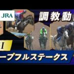 【調教動画】2023年 ホープフルステークス|JRA公式