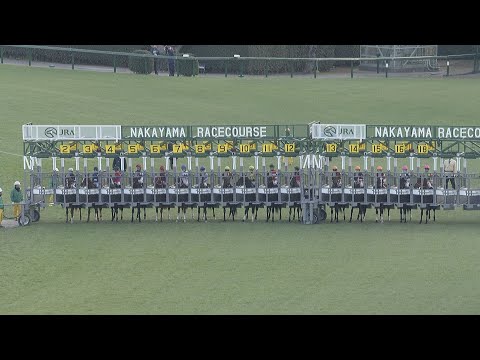 2023 HOPEFUL STAKES (G1) | JRA Official