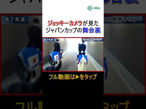 ジョッキーカメラは見た！「ジャパンカップの舞台裏」#ジャパンカップ #競馬 #shorts | JRA公式