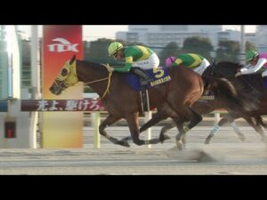 アタック！地方競馬｜第248回｜竜虎相搏！ 東京大賞典｜NAR公式