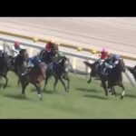 【問題です】どの馬が勝つでしょうか🐴