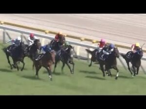 【問題です】どの馬が勝つでしょうか🐴