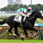 【競馬予想】[1]第75回朝日杯フューチュリティステークス(GⅠ) /2023