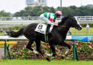 【競馬予想】[1]第75回朝日杯フューチュリティステークス(GⅠ) /2023