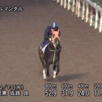 【朝日杯フューチュリティステークス2023】追い切り/動きからレースを紐解く