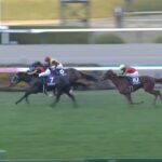 【阪神ジュベナイルフィリーズ2023】結果・動画/アスコリピチェーノが無敗で2歳女王に輝く