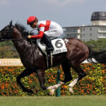 【競馬予想】[4]第75回朝日杯フューチュリティステークス(GⅠ) /2023