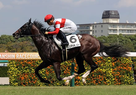 【競馬予想】[4]第75回朝日杯フューチュリティステークス(GⅠ) /2023