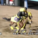 【東京大賞典2023】追い切り/調教を見てわかる事