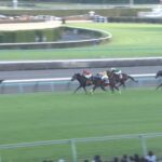【ステイヤーズステークス2023】結果・動画/アイアンバローズが後続を振り切り快勝