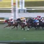【競馬】阪神Cは松山騎乗のウインマーベルがV