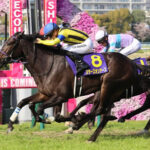 【有馬記念】スターズオンアースの馬券内は本当に硬いのか