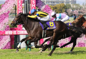 【有馬記念】スターズオンアースの馬券内は本当に硬いのか