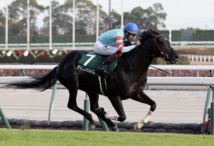 【中日新聞杯】ヤマニンサルバムが重賞初勝利！2着13番人気ハヤヤッコが突っ込み波乱