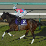 最弱候補のG1馬ドルチェモア