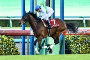 【ステイヤーズS】アイアンバローズ強すぎワロタ w w w