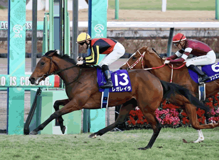 有馬記念、ホープフルS、東京大賞典 全てハズレたヤツの集合