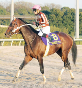 8着ミックファイア御神本「他のレースを見ても今年の3歳が足りていない懸念はあった」