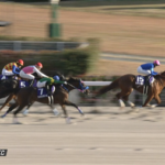 【チャンピオンズC】レモンポップこれで最優秀ダート馬確定やな 他