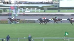 【競馬】ステイヤーズＳは石橋脩騎乗のアイアンバローズが逃げ切りＶ