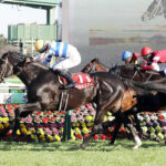 ヒシイグアス→香港C2着 宝塚記念2着 香港C3着