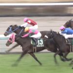 【ターコイズステークス2023】出走予定馬・騎手/成功と繁栄