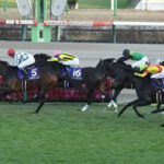 2023年糞騎乗オブザイヤー