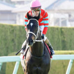 ディープボンド有馬記念はマーカンドに乗り替わり