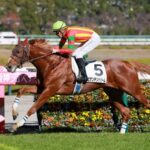 【2歳新馬】ビザンチンドリーム強すぎワロタ