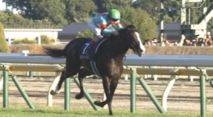 12/16（土）イクイノックス引退式　中山競馬場