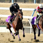 【有馬記念】ドウデュース最終追い切り 併せで1勝クラスに遅れる