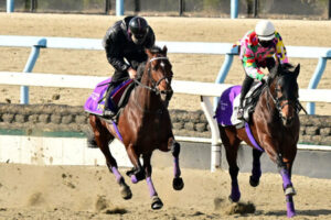 【有馬記念】ドウデュース最終追い切り 併せで1勝クラスに遅れる
