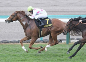 【リゲルS】マテンロウスカイ横山典 強すぎワロタwww