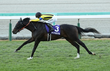 【朝日杯FS】ジャンタルマンタル競馬が上手すぎる件