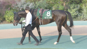 【阪神JF】1番人気サフィラとは何だったのか