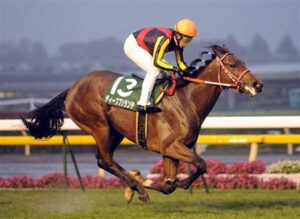 ディープブリランテが種牡馬引退