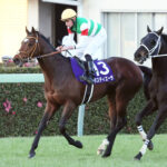 【有馬記念】タスティエーラ、ソールオリエンス3歳馬弱すぎwwwww
