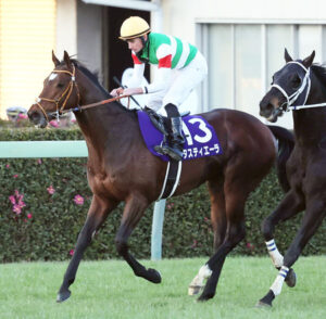 【有馬記念】タスティエーラ、ソールオリエンス3歳馬弱すぎｗｗｗｗｗ