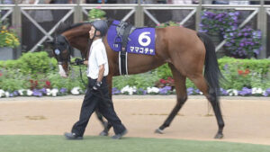 【競馬予想】第18回阪神カップ(GⅡ) /2023