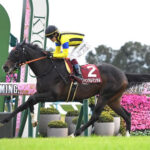 【競馬予想】[2]第75回朝日杯フューチュリティステークス(GⅠ) /2023