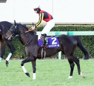 シャフリヤール種牡馬入りせず…来年も現役続行へ
