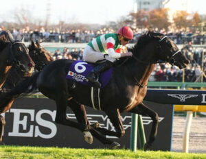 昨年のJC馬ヴェラアズール屈腱炎で引退、優駿SSで種牡馬入り