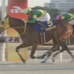 ウシュバテソーロ強すぎワロタwww