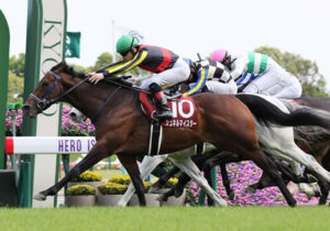 種牡馬シュネルマイスター350万 満口の模様