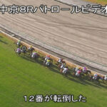 古川奈穂、前の馬に接触し落馬骨折+過怠金10万円