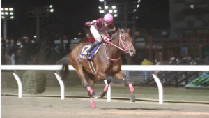 フォーエバーヤング強すぎワロタｗｗｗ