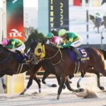 【東京大賞典】ダート最強馬ウシュバテソーロ連覇!川田「無事に勝つことができて何よりです」