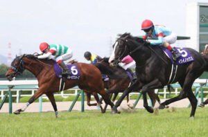 【有馬記念】スルーセブンシーズの取り扱いが難しいよね